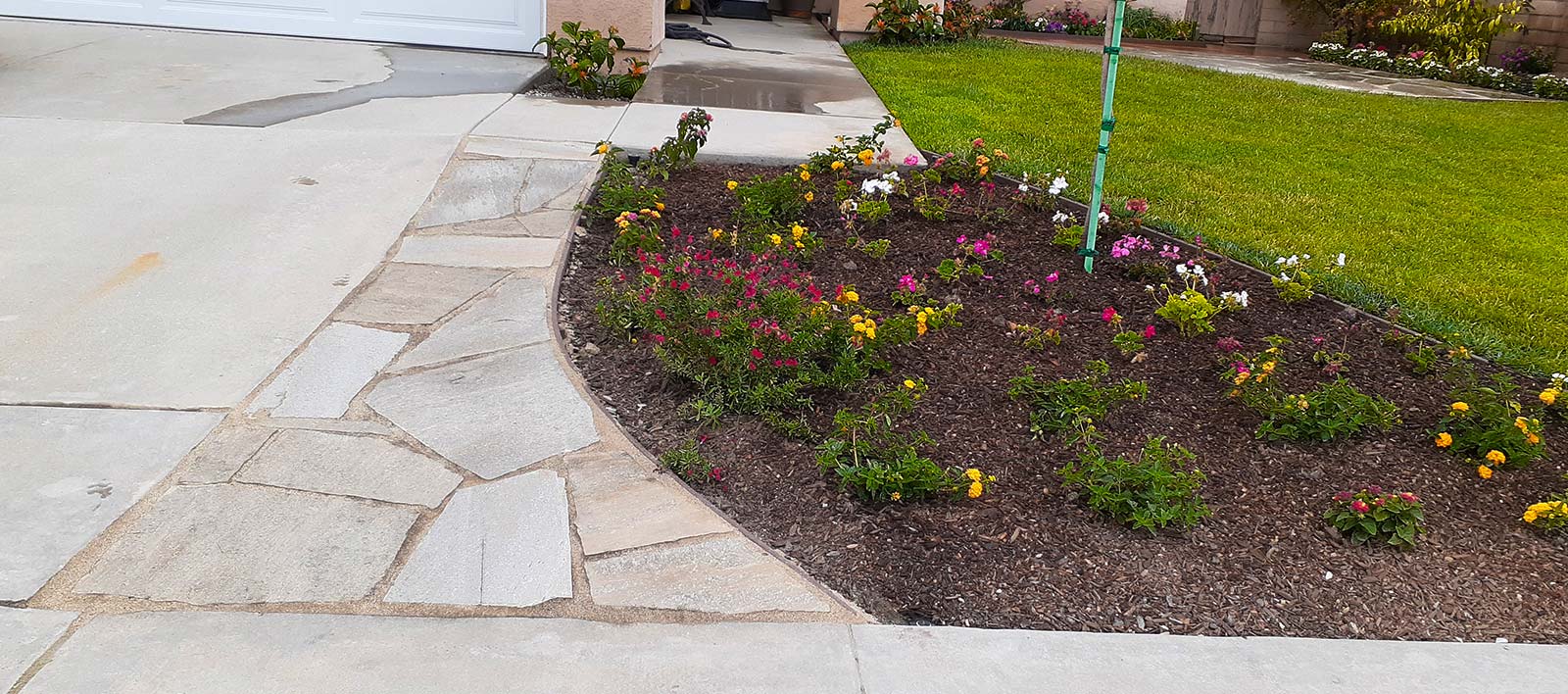 Creating a Greener Environment For You 