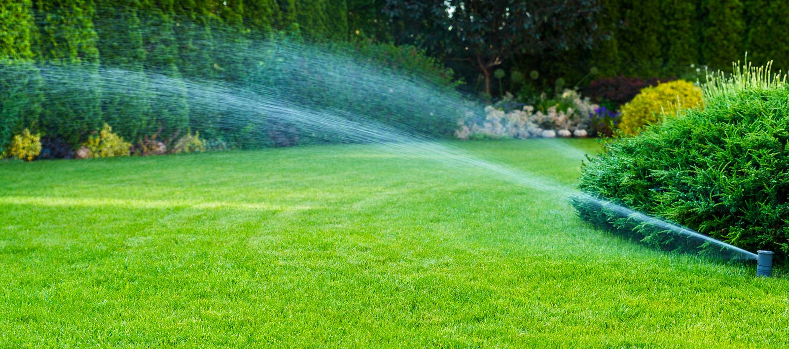 Providing You With Care & Love