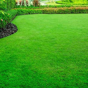 Lawn Installation Services